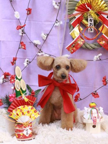 20230114ももちゃん